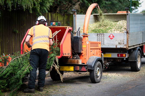 Professional Tree Services in Farmers Loop, AK
